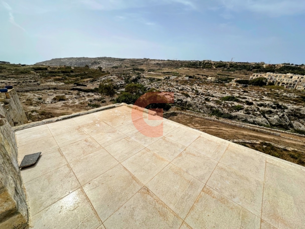 IMG_7869-EDIT IMG_7869-EDIT