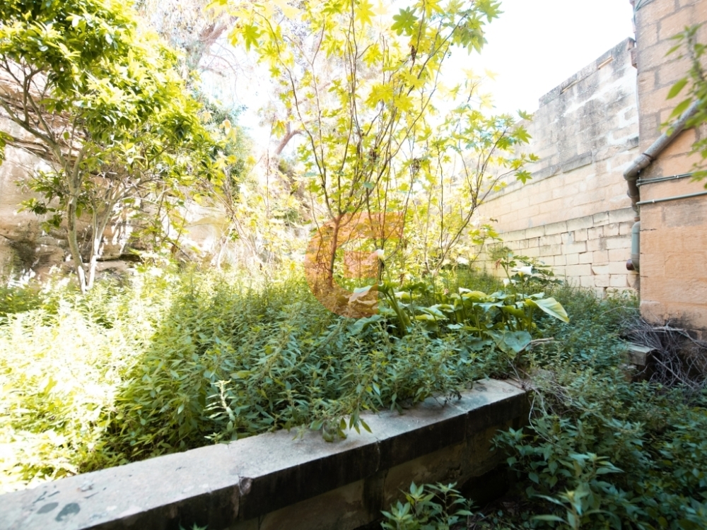 350295842_794818288895465_3279431166046968764_n 350295842_794818288895465_3279431166046968764_n