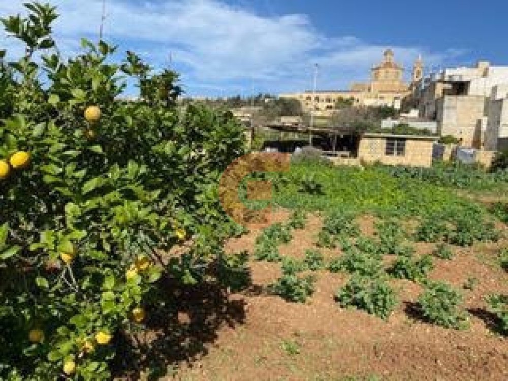 b95cb394-e9e3-4675-9c10-11c58229cabd b95cb394-e9e3-4675-9c10-11c58229cabd