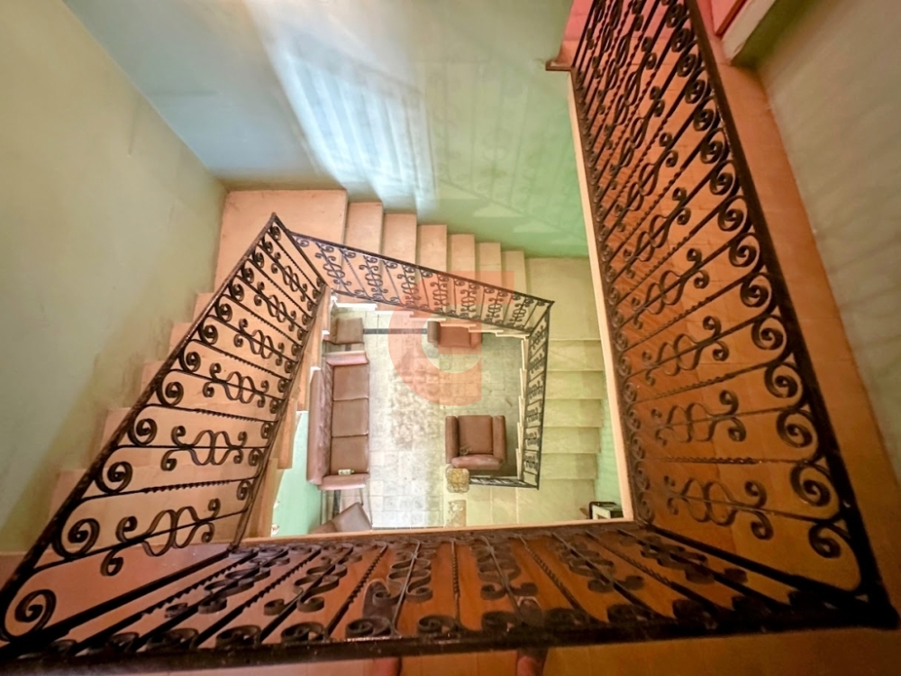 IMG_7937-EDIT IMG_7937-EDIT