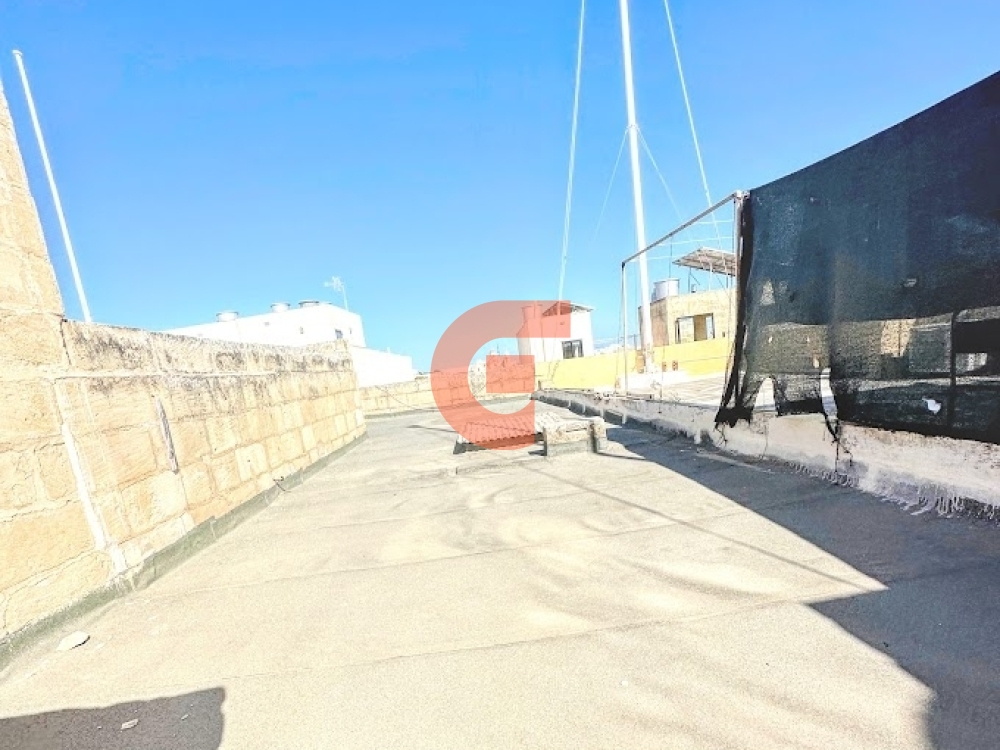 IMG_2746-EDIT IMG_2746-EDIT