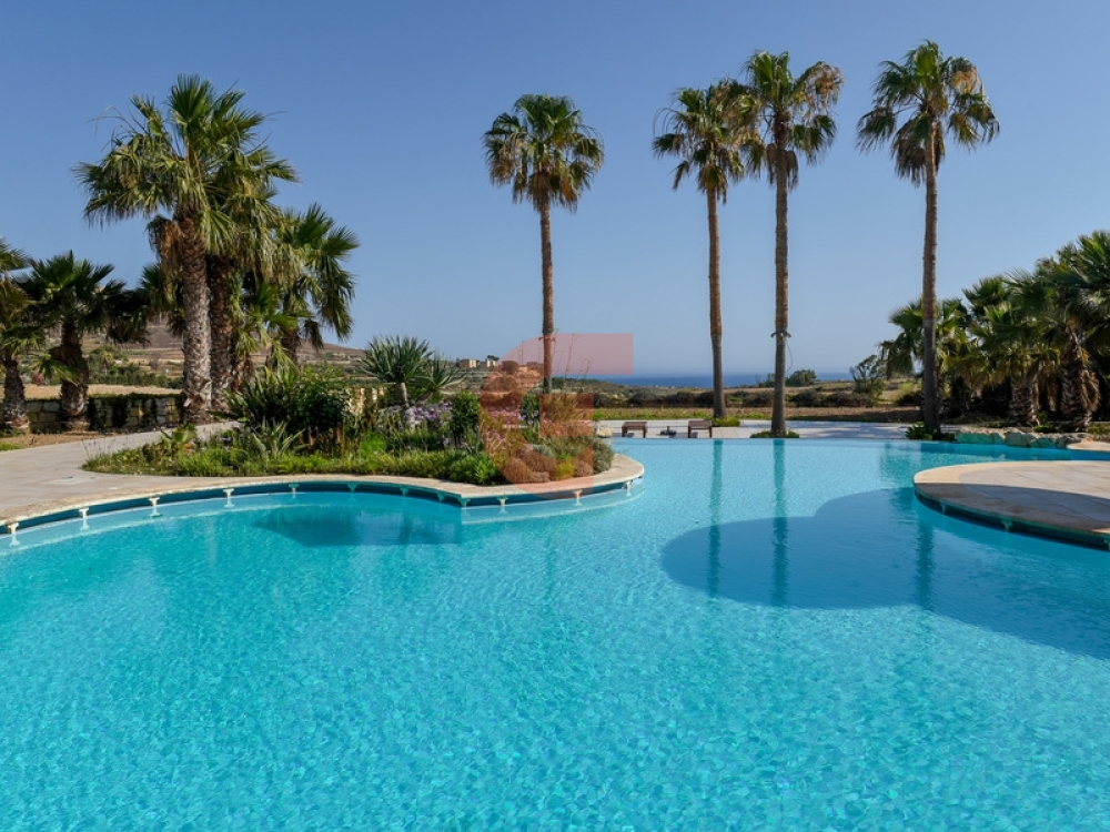 1 cover display 1 cover display