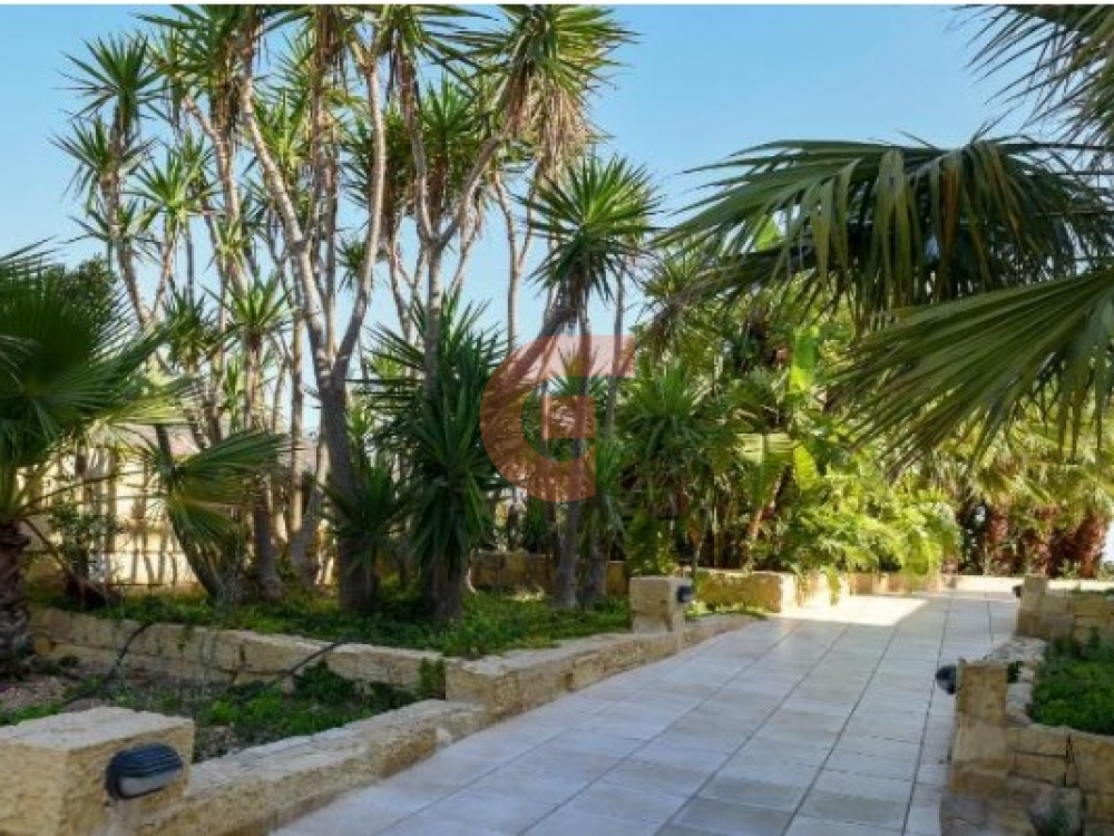 Screenshot_1 Screenshot_1