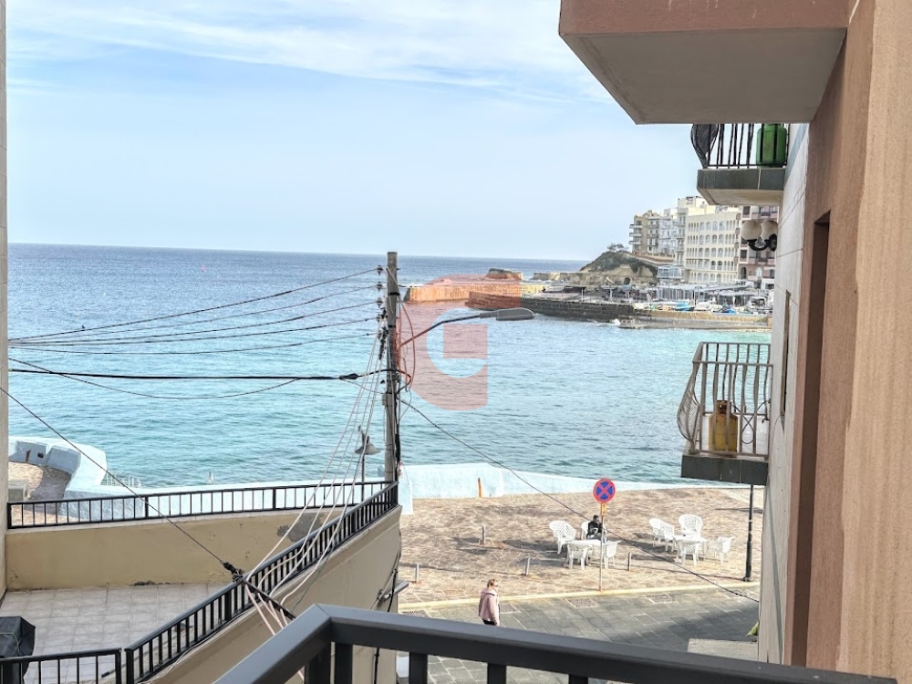 IMG_5420 (1) IMG_5420 (1)