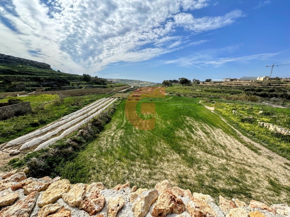 IMG_5909-EDIT IMG_5909-EDIT