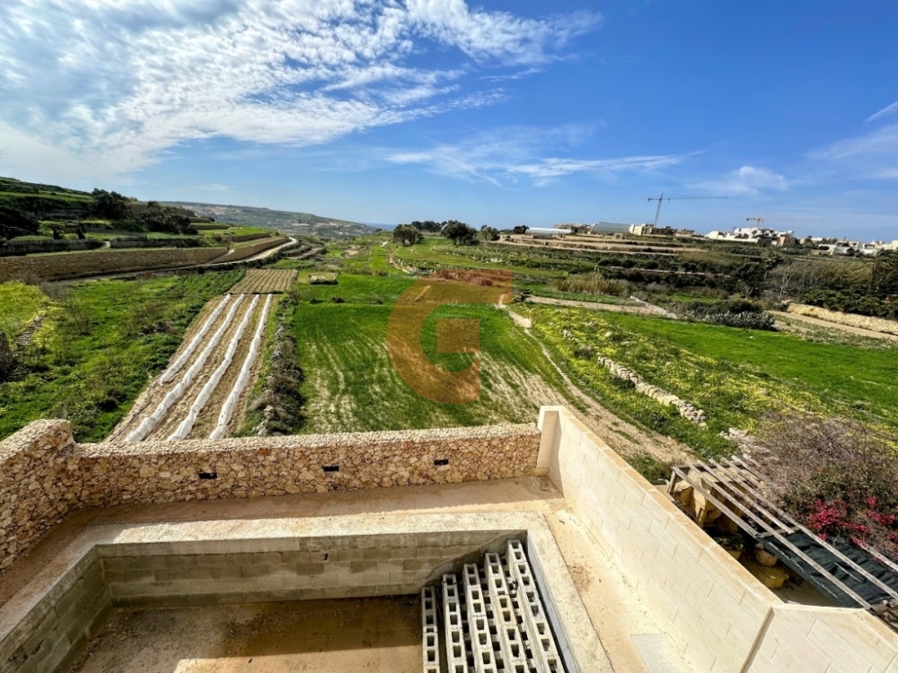 IMG_5921-EDIT IMG_5921-EDIT