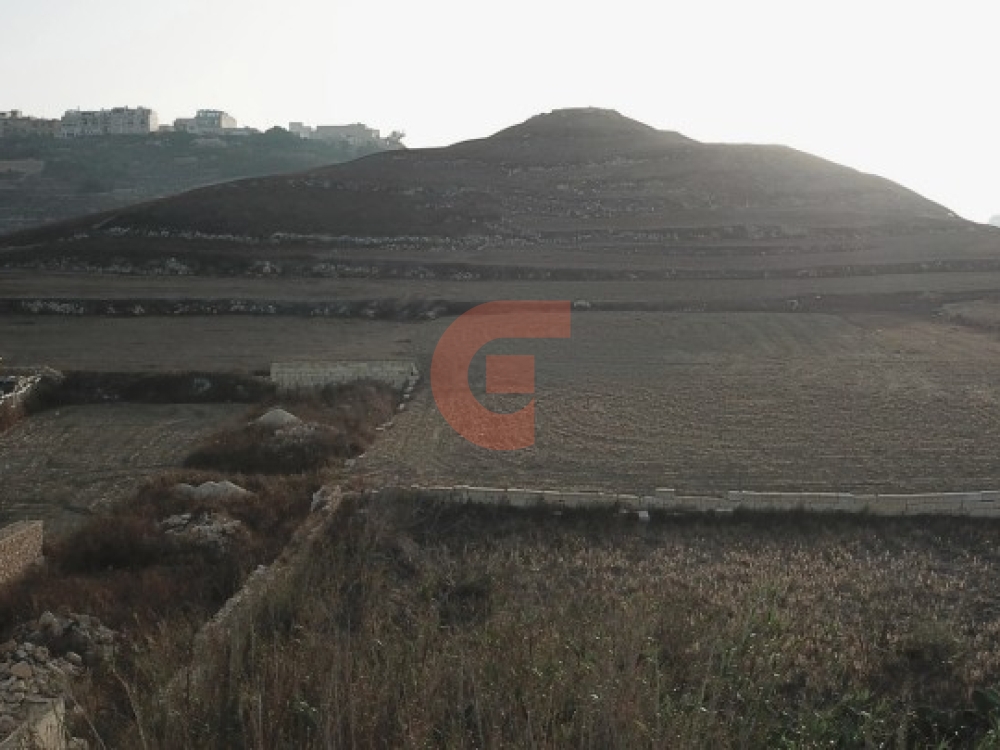 Screenshot 2025-03-31 162749 Screenshot 2025-03-31 162749