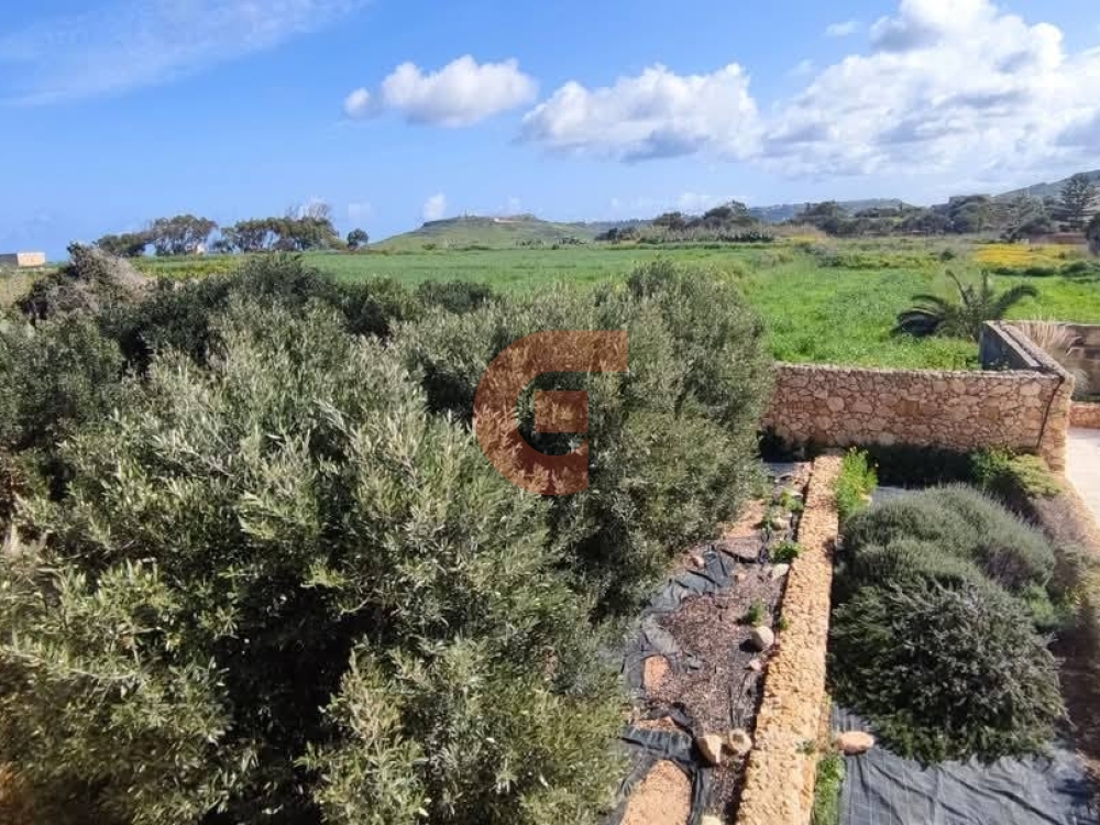 499792189_701241372281875_7650554938093131999_n 499792189_701241372281875_7650554938093131999_n