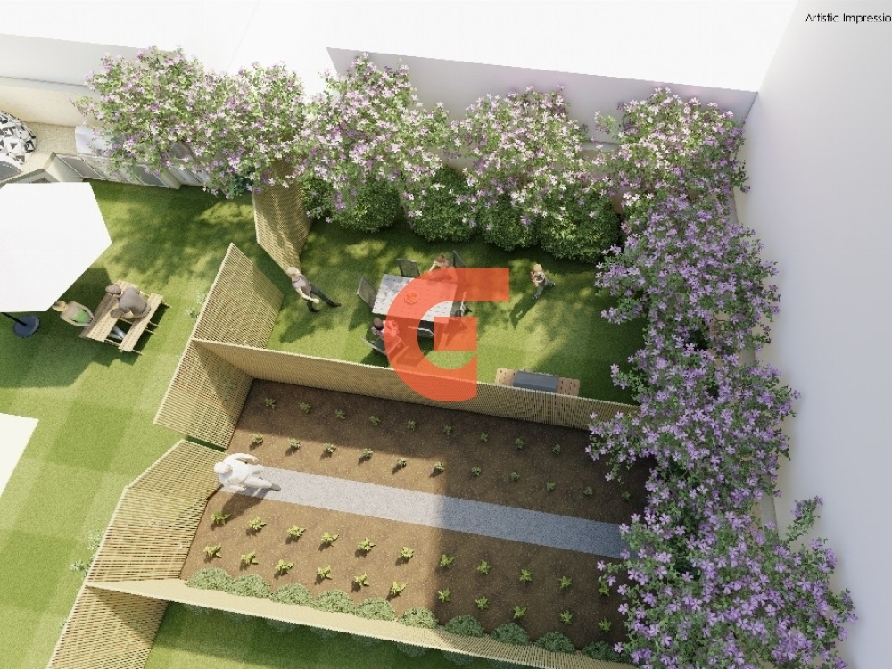 195_backyard (3)_1000x1000 195_backyard (3)_1000x1000