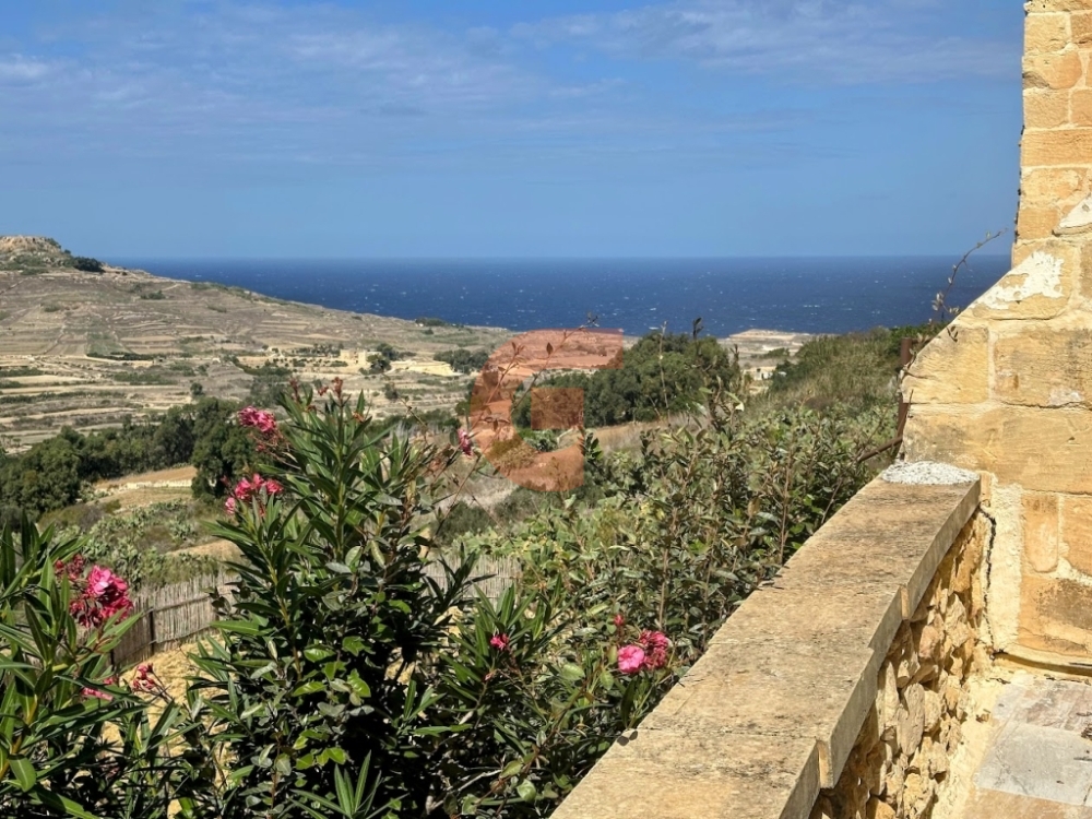 IMG_5778-EDIT IMG_5778-EDIT