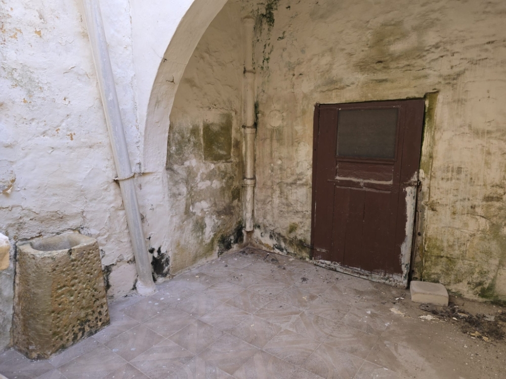 WhatsApp Image 2026-03-25 at 17.07.49llllll WhatsApp Image 2026-03-25 at 17.07.49llllll