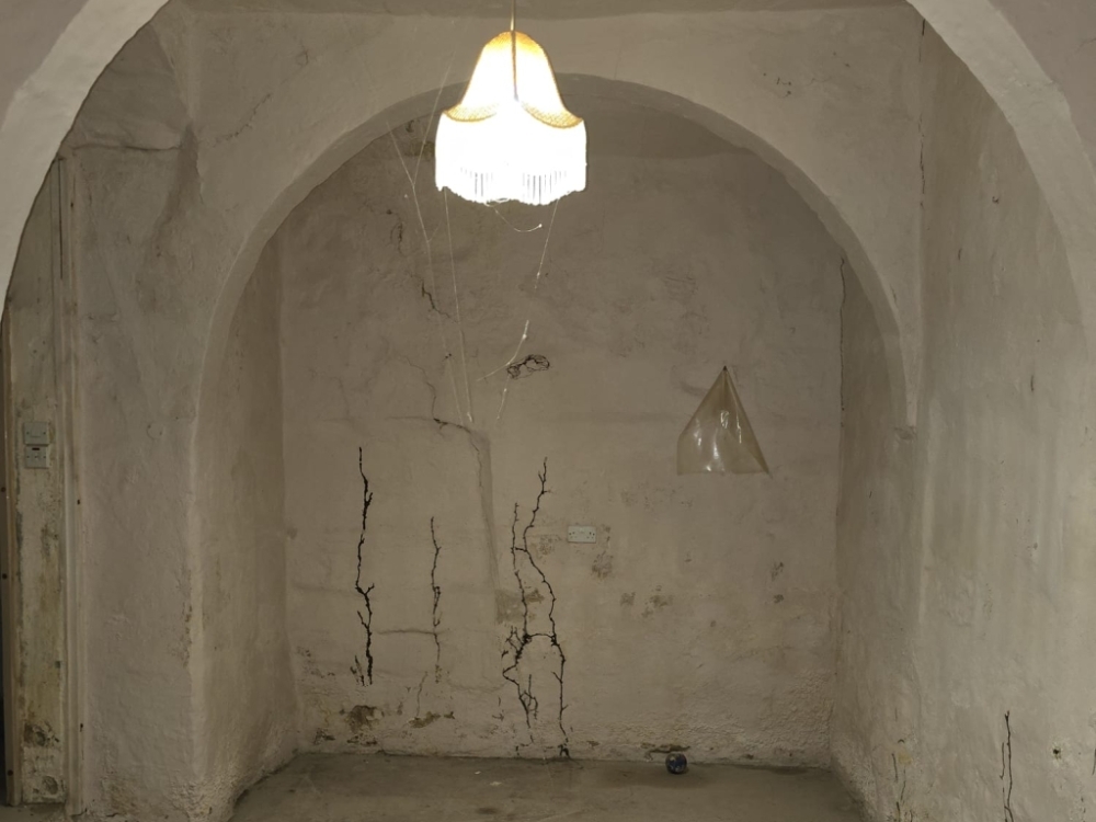 WhatsApp Image 2026-03-25 at 17.07.50vvvvvvvv WhatsApp Image 2026-03-25 at 17.07.50vvvvvvvv