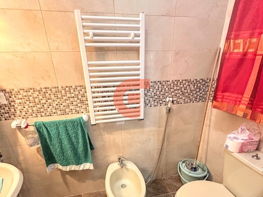 IMG_8648